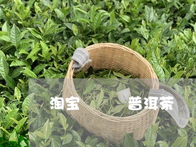 淘宝   普洱茶/2023031723259